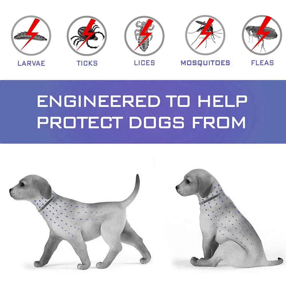 Dog Collar Anti Flea, Mosquitoes, Ticks, Insect Herbal Pet Collar, 8 Months Protection