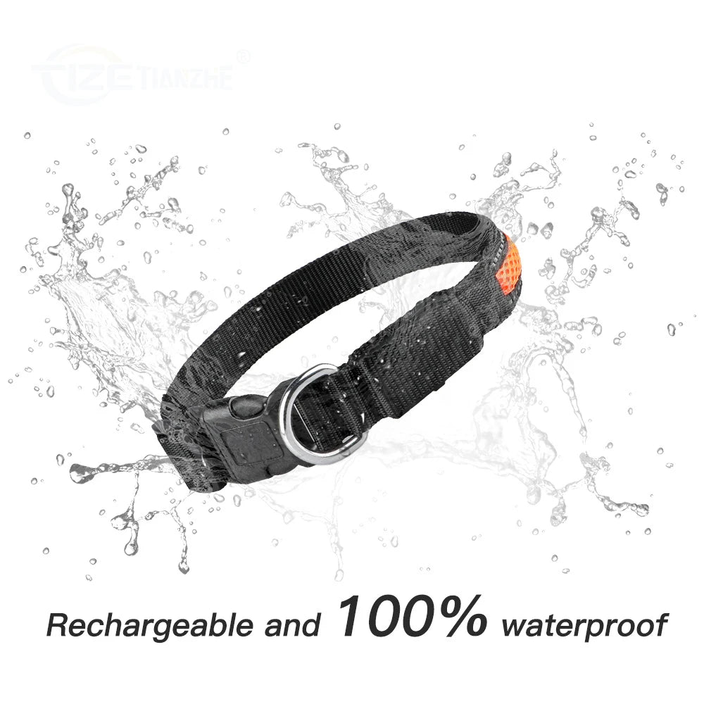 Night Safety LED Glow Waterproof Dog Collars