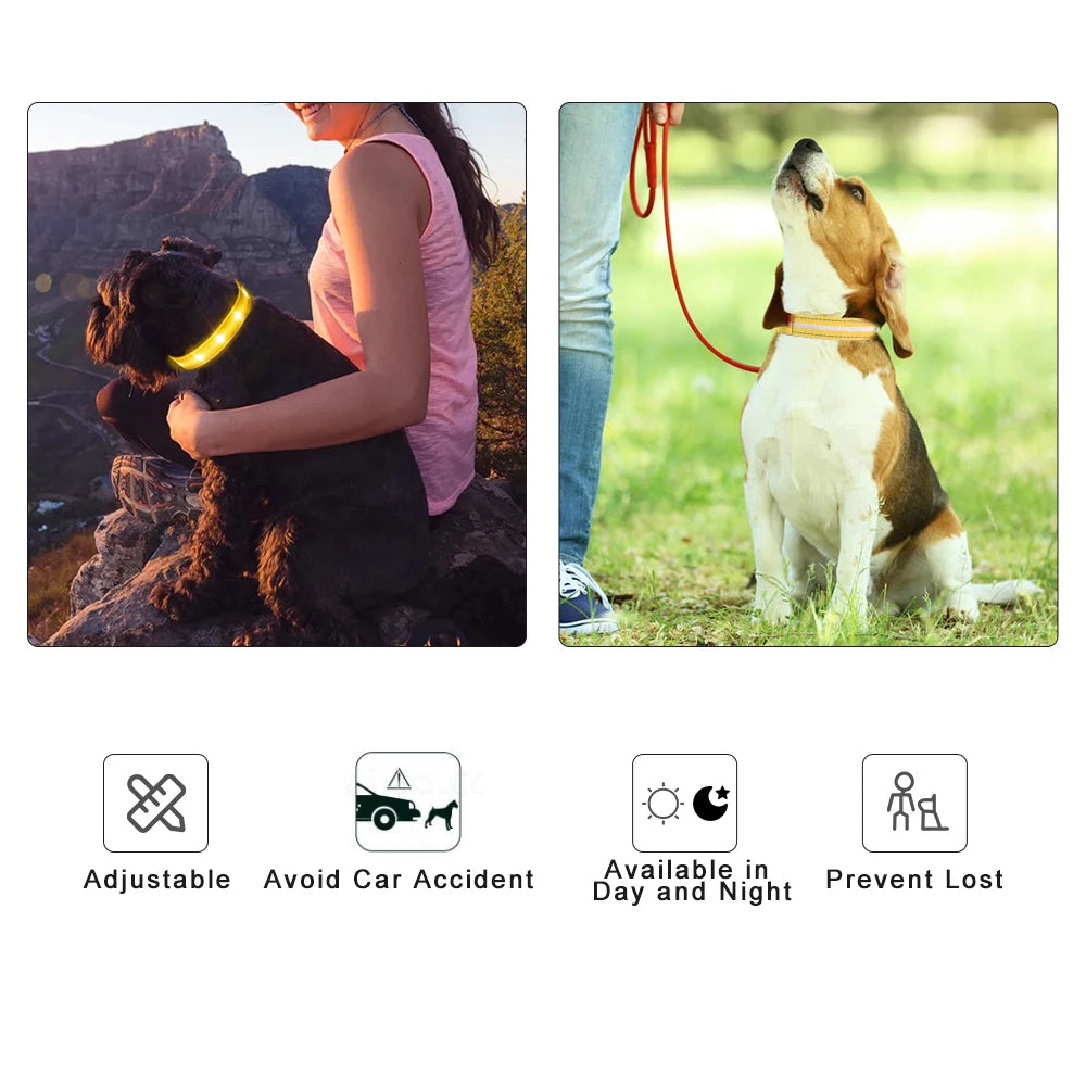 Dog Rechargeable LED Glowing Collar