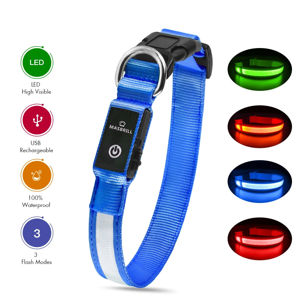 Dog LED Waterproof Safety Collar