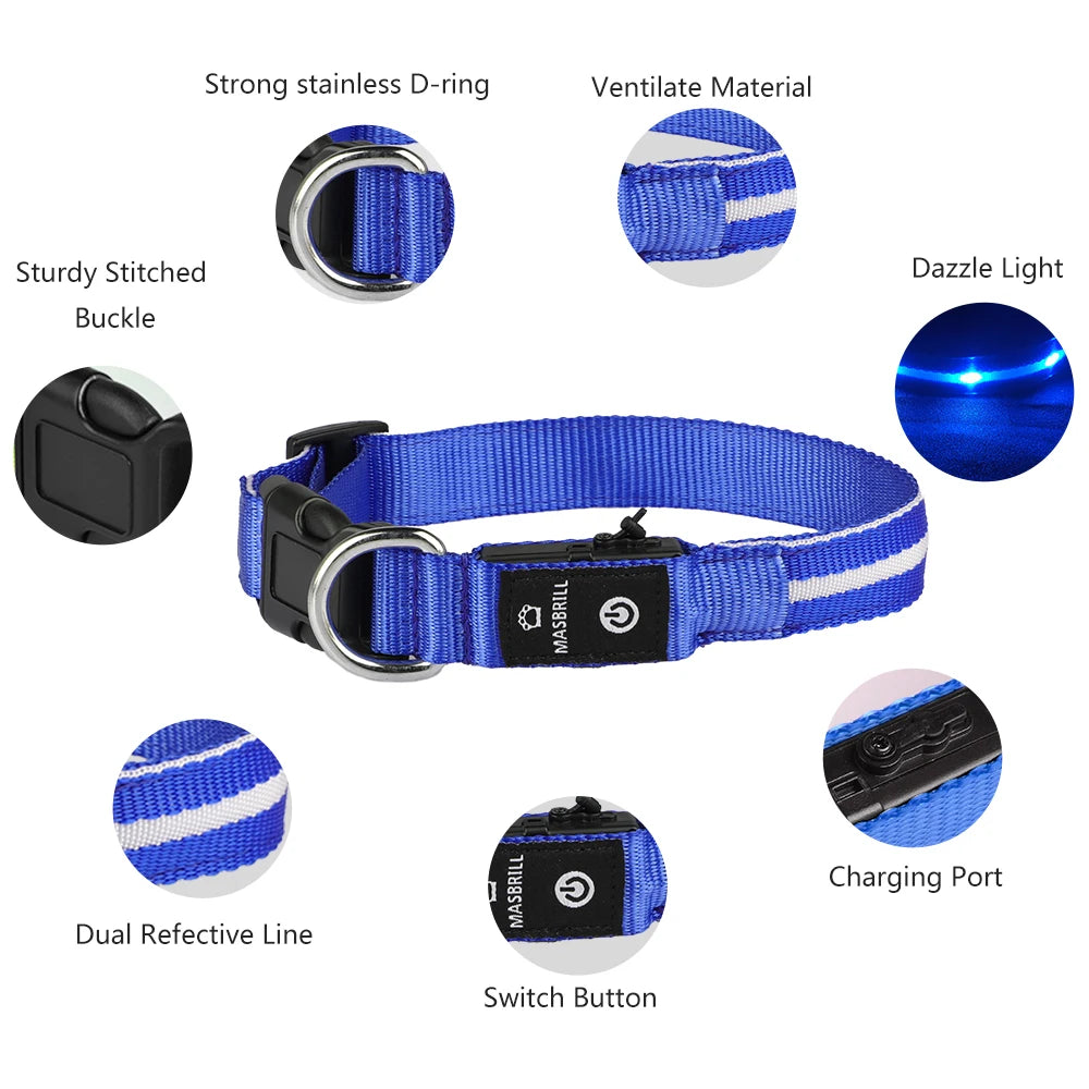 Dog Rechargeable LED Glowing Collar