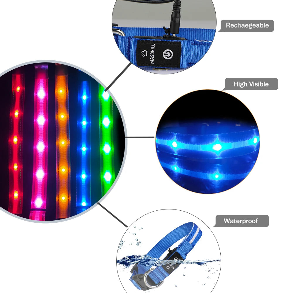 Dog Rechargeable LED Glowing Collar