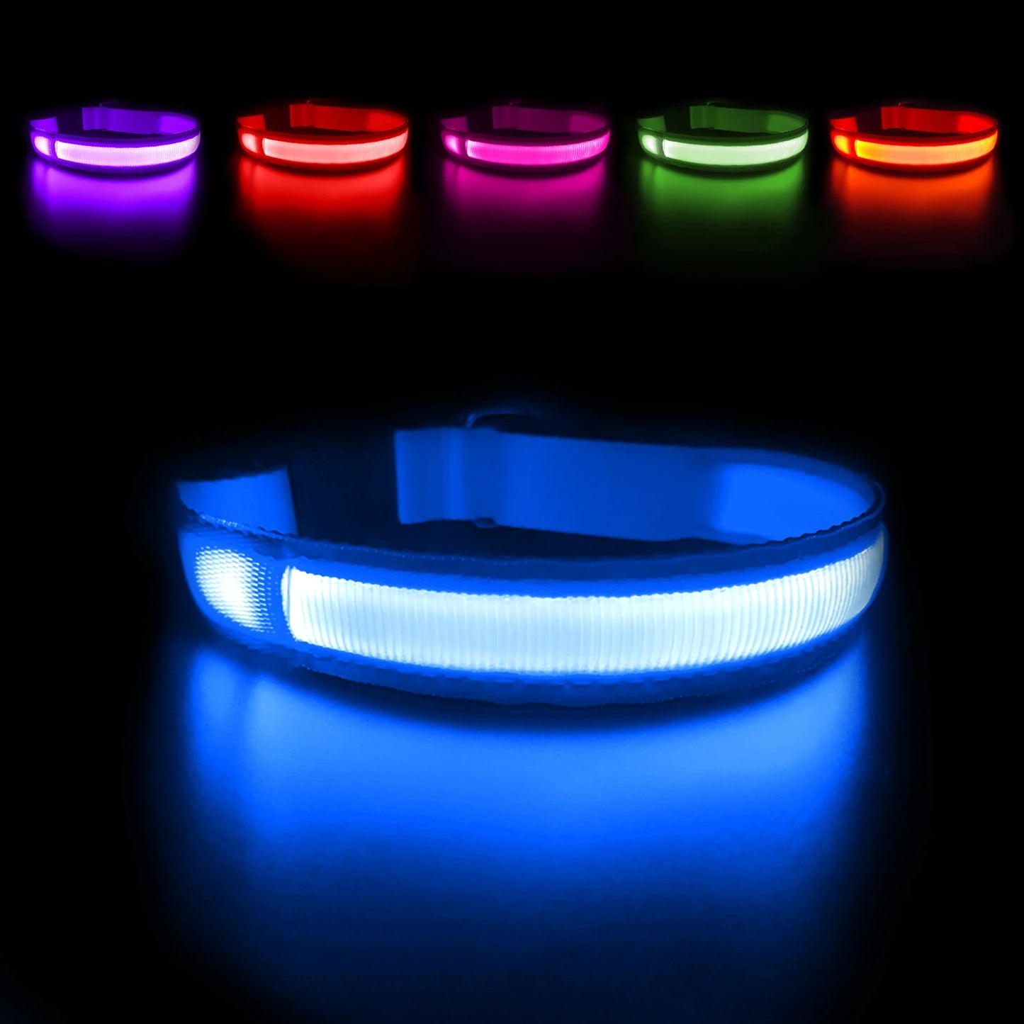 Dog LED Waterproof Safety Collar