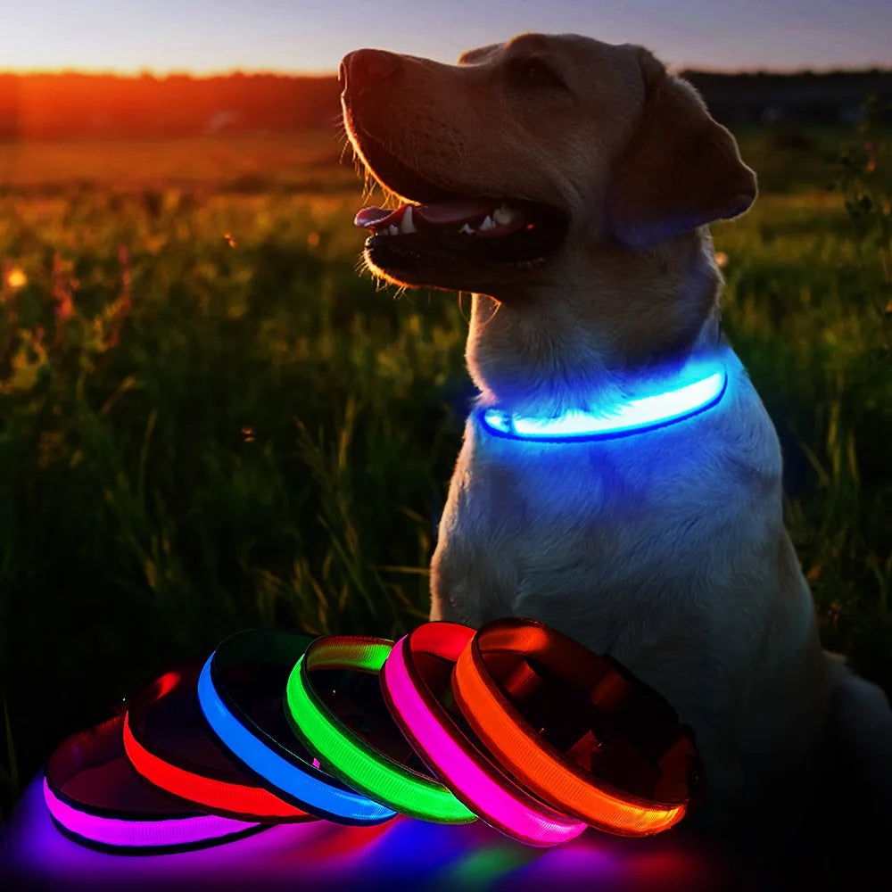 Dog LED Waterproof Safety Collar