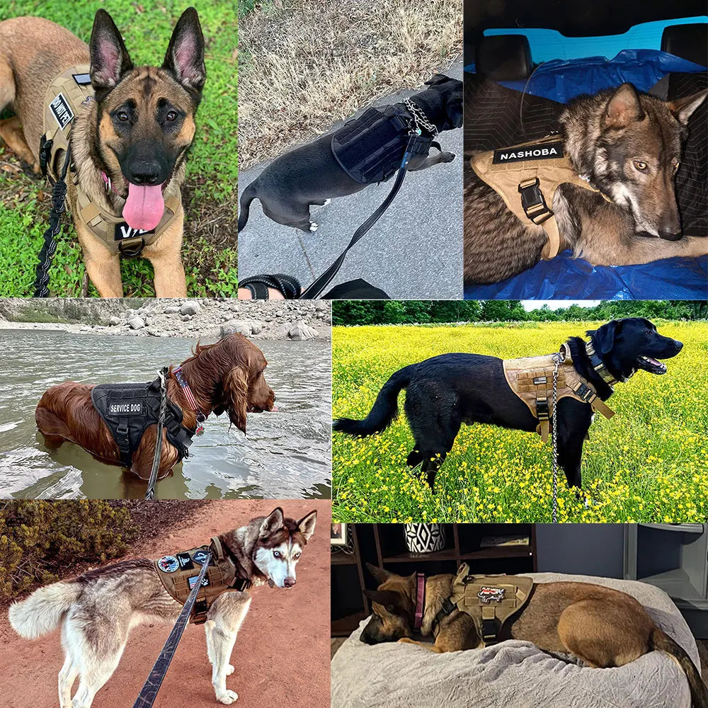 K9 Military Dog Harness And Leash Bags Set For Large Dogs