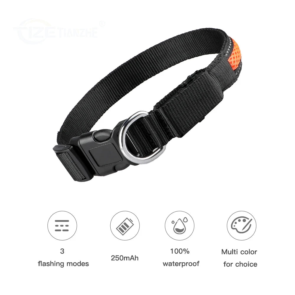 Night Safety LED Glow Waterproof Dog Collars