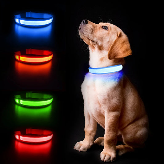 Dog LED Waterproof Safety Collar