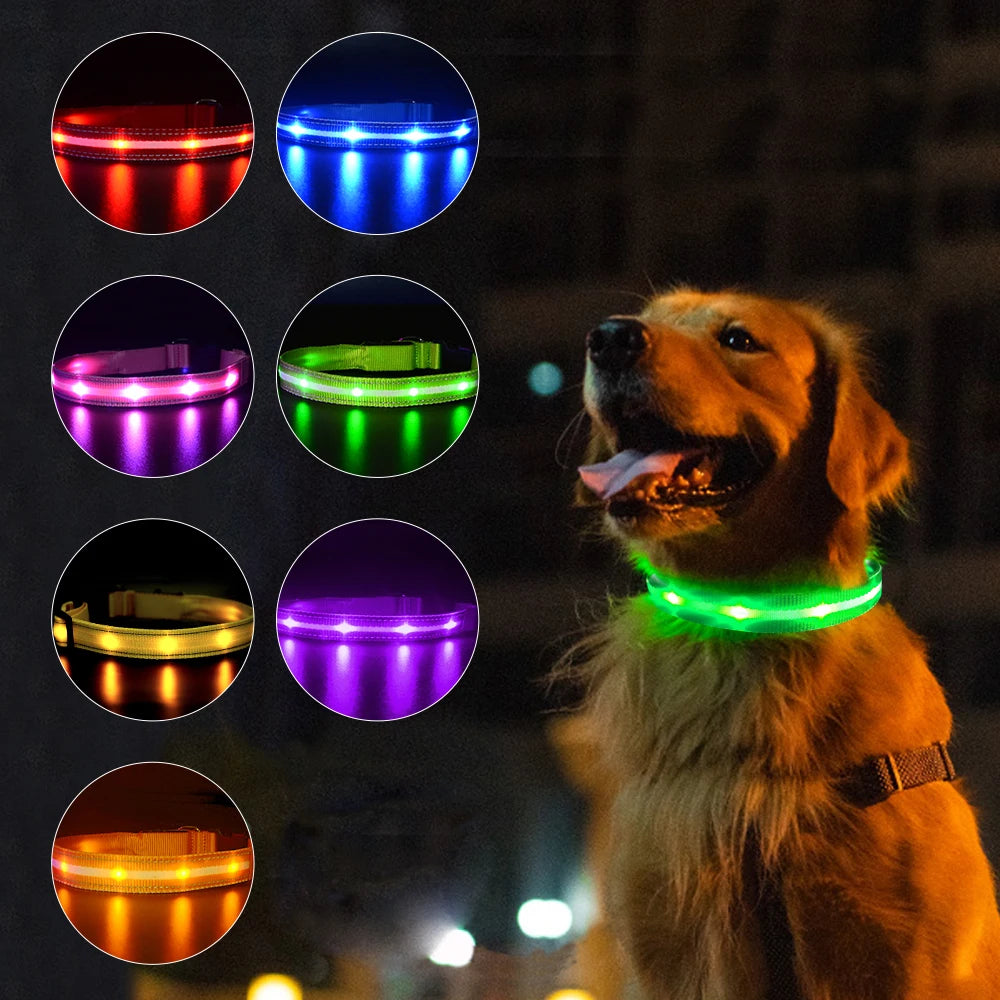 Dog Rechargeable LED Glowing Collar