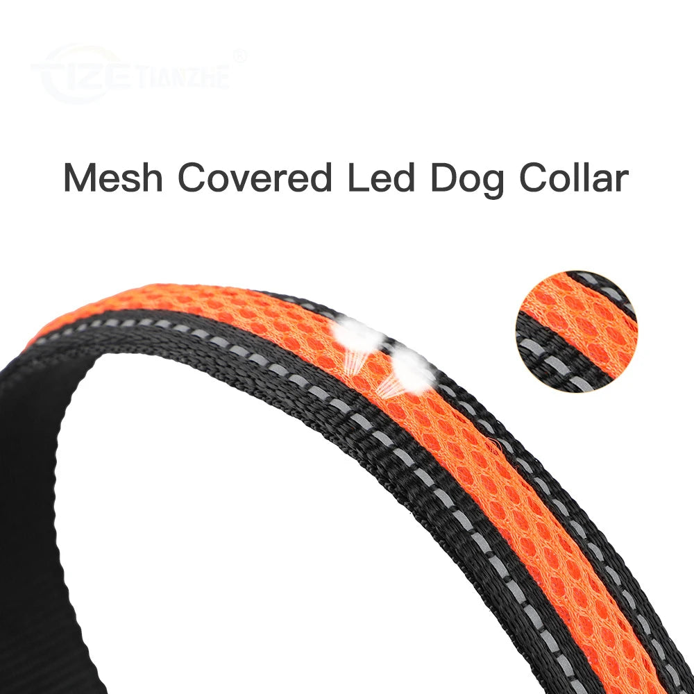 Night Safety LED Glow Waterproof Dog Collars