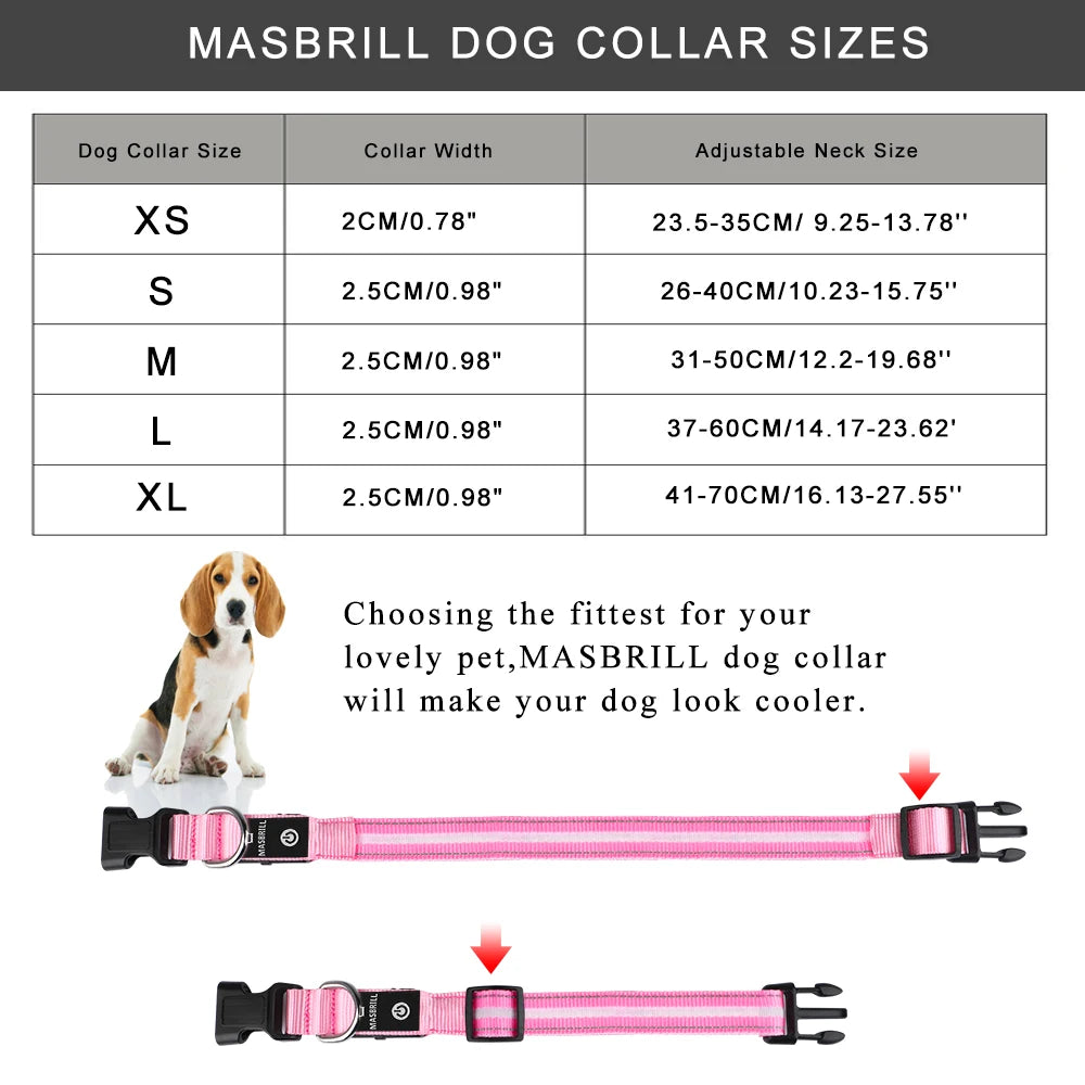 Dog Rechargeable LED Glowing Collar