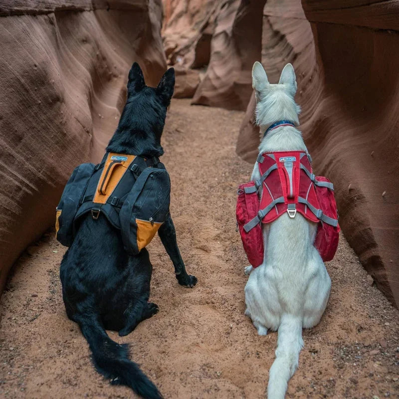 Dog Backpack