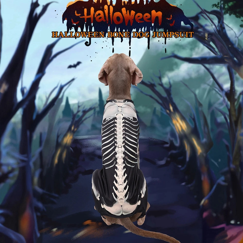 Dog Skeleton Costume